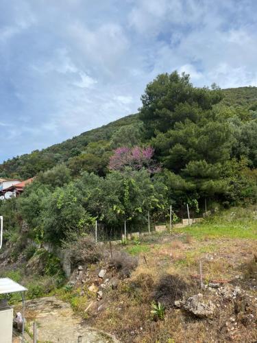 Φυσικό τοπίο κοντά σε αυτό το διαμέρισμα