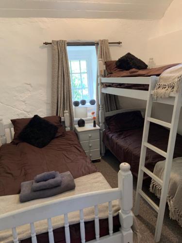 a bedroom with two bunk beds and a window at Cottage Retreat Snowdonia in Capel-Curig