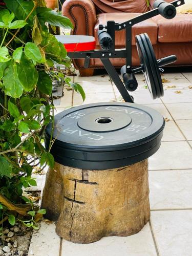 a bird feeder sitting on top of a tree stump at RV in the Little Jungle by Legnalife in Homestead