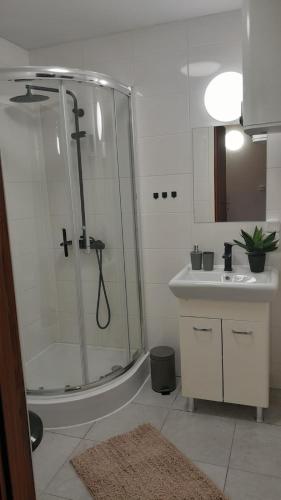 a bathroom with a shower and a sink at Lesna Kryjowka Roztocze in Rybnica