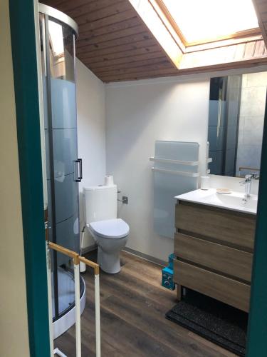 une salle de bain avec toilettes et lavabo dans l'établissement Les Coteaux, à Gérardmer