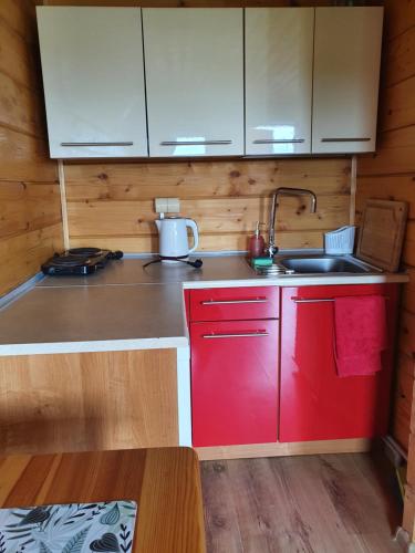 a kitchen with a red cabinet and a sink at Domki PIĘKNY WIDOK in Solina