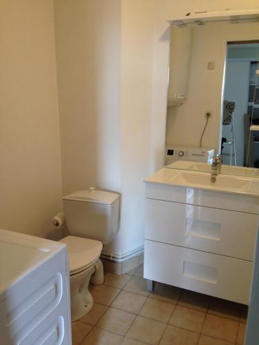 une salle de bain avec toilettes, lavabo et miroir dans l'établissement Logement cœur de Cholet, à Cholet