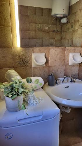 a bathroom with a toilet and a sink and a potted plant at Bellavista Riva in Riva di Solto