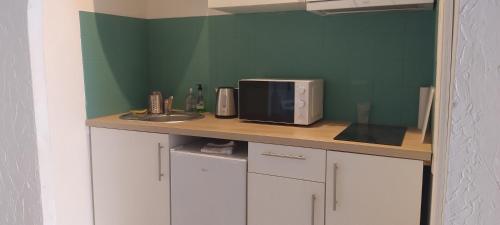 un comptoir de cuisine avec un micro-ondes et un évier dans l'établissement Studio near center, à Nice