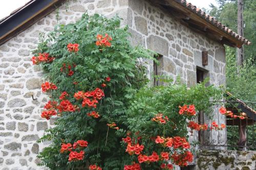 Κήπος έξω από το Cantal'Temps