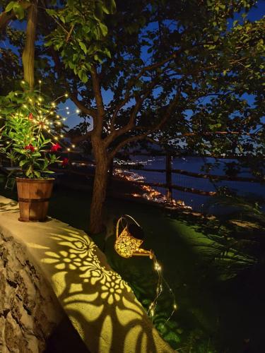 a bench lit up with lights next to a tree at Villa Alba d'Amalfi - The dawn one step from the Heaven in Amalfi