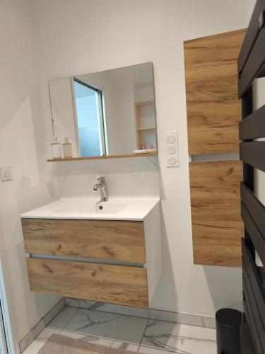 une salle de bain avec un lavabo et un miroir dans l'établissement L'échappée verte, à Amiens