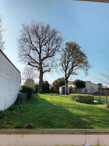 une cour herbeuse avec deux arbres en arrière-plan dans l'établissement Maison entre Nantes et l'océan, à Brains