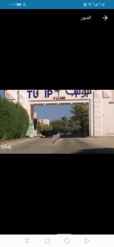 العين السخنة