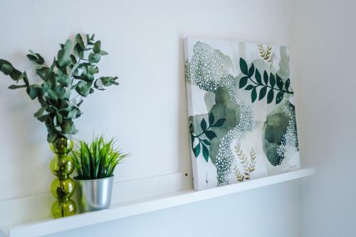 a shelf with a plant and a book at 17 Anfield House sleeps 12 7min walk to stadium in Liverpool