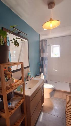 une salle de bain avec un lavabo, des toilettes et un miroir dans l'établissement Chambre Indépendante avec Salle de Bain et Parking Gratuit, à Pelousey