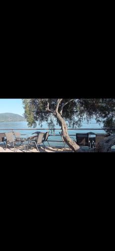 a tree with chairs and a table and a lake at MAKRIS Studios in Yiáltra