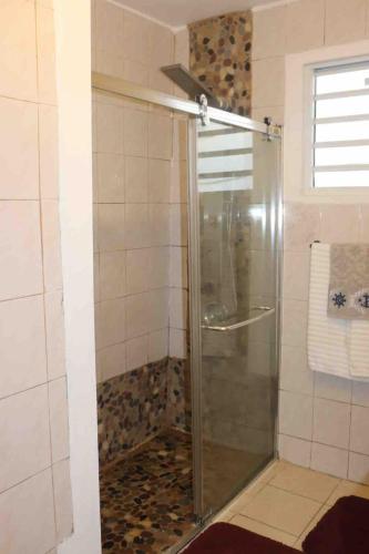 a shower with a glass door in a bathroom at Tamara Guest House in Luquillo