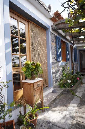Κήπος έξω από το Casa das Flores Funchal