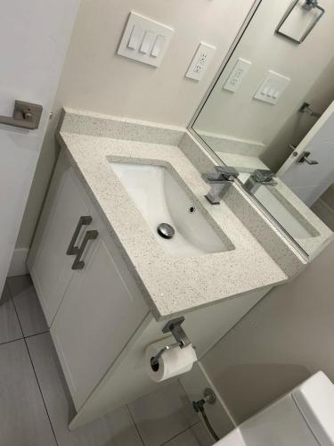 a bathroom with a sink and a mirror at Spacious one Bedroom Suite Right in Downtown ! in Maple Ridge District Municipality