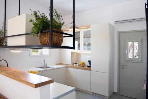 a kitchen with white cabinets and a potted plant at Milis Houses in Adamantas