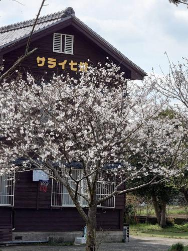 a tree with white flowers in front of a building at 民泊サライ七城 in Kikuchi