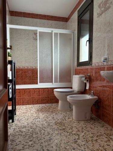 a bathroom with a toilet and a sink at Las Casas Del Puente in Córdoba