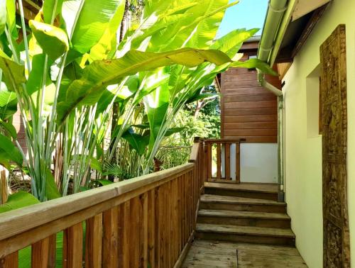 Zahrada ubytování T3 de charme avec Rooftop vue mer, le Cactus