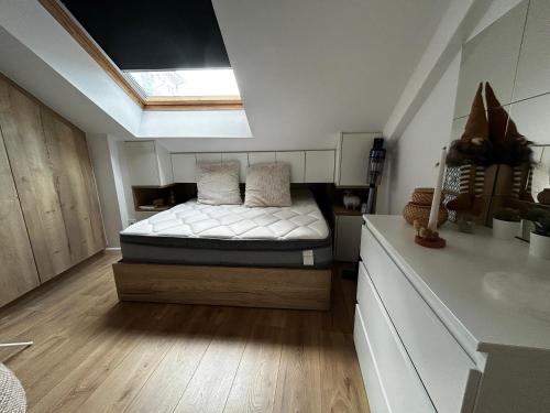 une chambre avec un lit et une lucarne dans l'établissement Appartement spacieux 2 chambres au centre d'Évian avec option parking - FR-1-498-115, à Évian-les-Bains