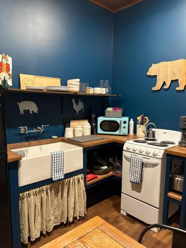 a kitchen with a stove and a blue wall at Letchworth Farm Guesthouses in Nunda