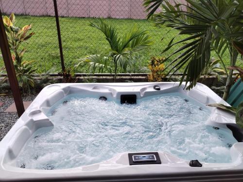 a hot tub in a backyard with palm trees at Sol y Luna Chalet in Fortuna