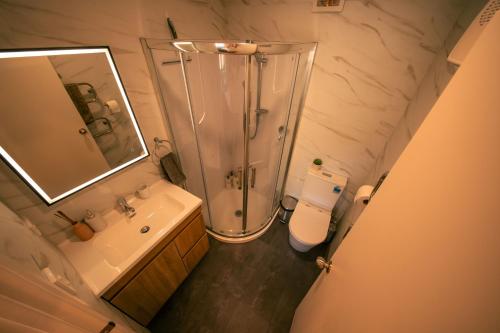 a bathroom with a shower and a toilet and a sink at Peace and quiet on the beautiful North Shore in Auckland