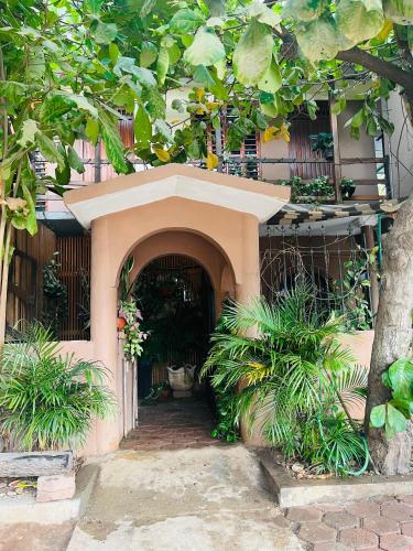 a building with an entry way with a tree at Casa Guiba 2 Puerto Escondido in Puerto Escondido