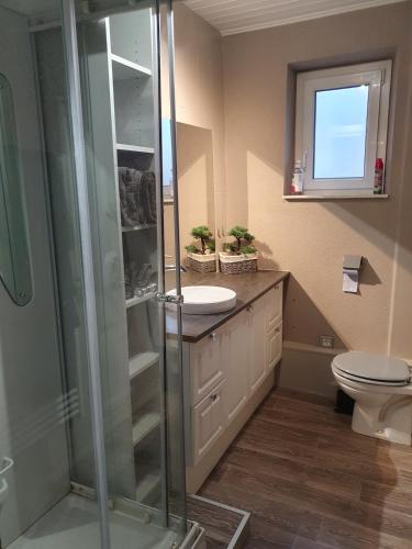 une salle de bain avec une douche, un lavabo et des toilettes dans l'établissement Chez Carine et Jonathan 1er etage, à Gérardmer