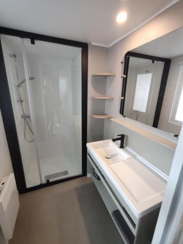 une salle de bain avec un lavabo et un miroir dans l'établissement Mobile-home tout confort 6 personnes climatisé, à Sète