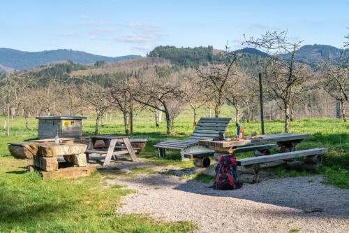 a group of picnic tables in a field with mountains in the background at Trekking Camp am Renchtalsteig in Oppenau