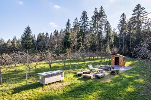 a cabin in the middle of a field with trees at Trekking Camp am Renchtalsteig in Oppenau