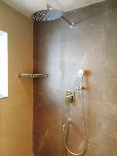 a shower in a bathroom with a shower at Blue Dolphin homestay in Tadri
