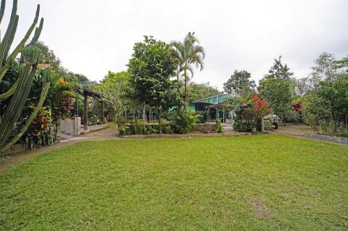 a yard with a large lawn with trees and plants at Hotel O Griya Estu Wening in Sleman