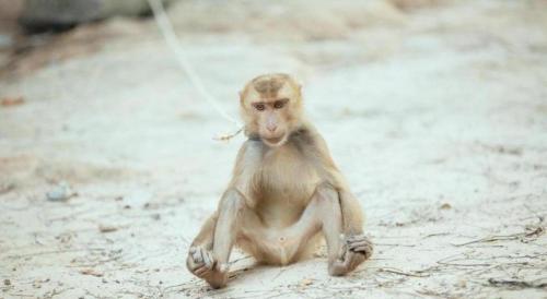 ランタ島にあるRelax Beach Houseのギャラリーの写真