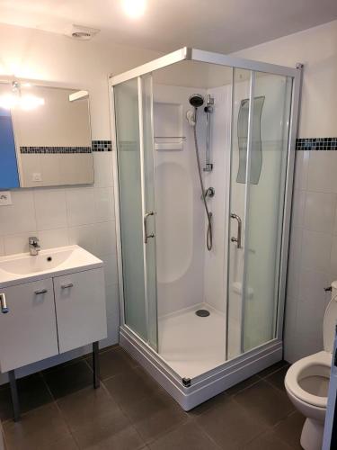 une salle de bain avec douche et toilettes dans l'établissement Studio indépendant à 5 minutes du Puy DuFou, à Chambretaud