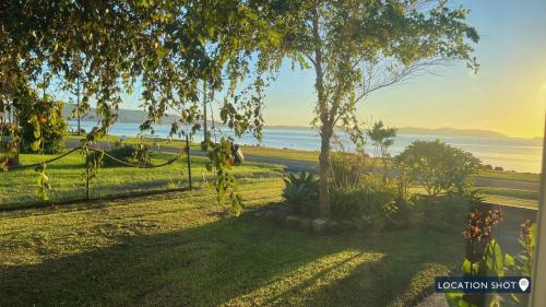 a park with a tree and the ocean in the background at Waterfront Cottage in New South Wales 