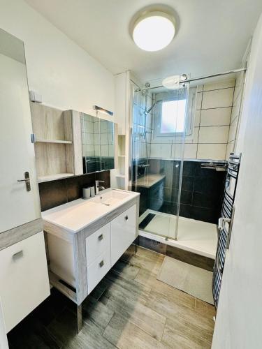 une salle de bain avec un lavabo et une douche dans l'établissement Appartement spacieux à Caen, à Caen