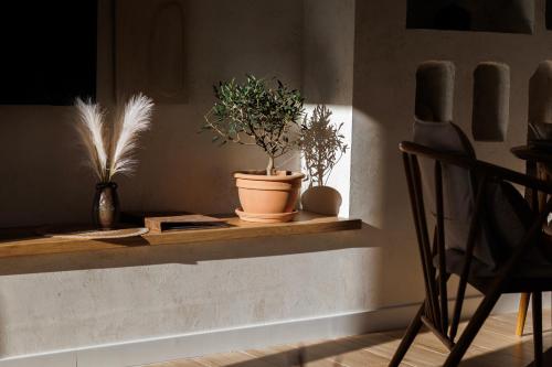 Maris - apartment in historical center of Zadar