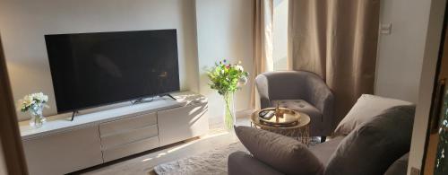 TV a/nebo společenská místnost v ubytování Marvest 1