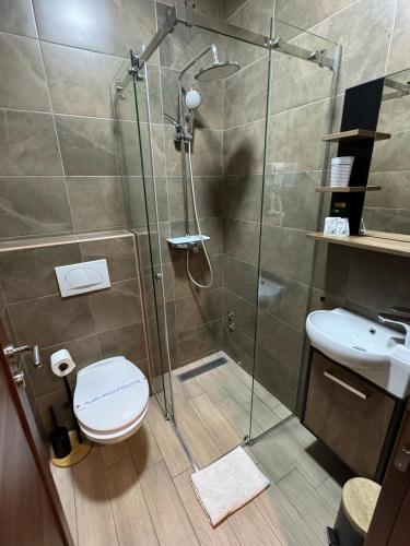 a bathroom with a shower with a toilet and a sink at ATOS Srebrno jezero - Villa and Restaurant in Veliko Gradište