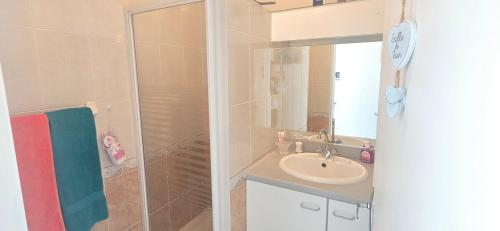 une salle de bain avec un lavabo et une douche avec un miroir dans l'établissement Appartement 2 chambres, jardin & parking à Valras, à Valras-Plage