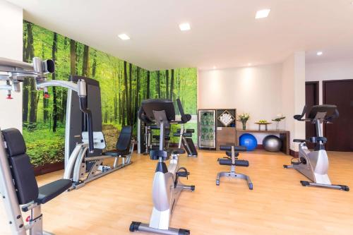 a fitness room with a forest mural on the wall at NH Collection Guadalajara Providencia in Guadalajara