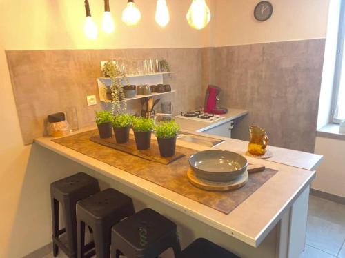 a kitchen with a counter with plants on it at chez Nadège in Floing