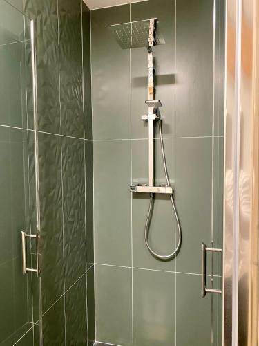 une salle de bain avec une douche avec pommeau de douche dans l'établissement APPARTEMENT COSY 40 m2, climatisé, parking gratuit, à Annecy