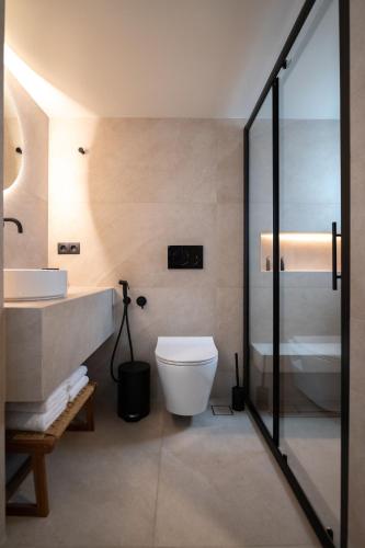 a bathroom with a toilet and a sink at Serene in Tinos