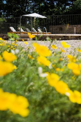 Du Levant au Couchant - 2 gîtes mitoyens à Caylus - Piscine - Jardin - 5 chambres - 12 personnes - 5 minutes du village médiévalにある庭