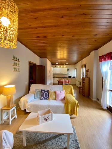 a living room with a couch and a table at Apartaments Alta Muntanya in Barruera