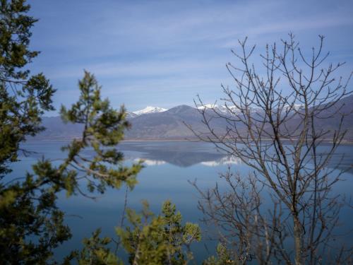 a view of crater lake through the trees at Prespes Lake View Family Apartment in Florina